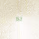 17207050627185264986004408923100878580024569021072374860821511059483897364481