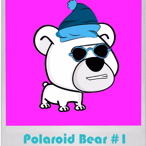 Polaroid Bear #1