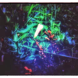 3787080761074609709675817509753112159059746763483256848434353585284198694917