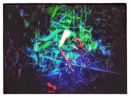 Item #3787080761074609709675817509753112159059746763483256848434353585284198694917 Media