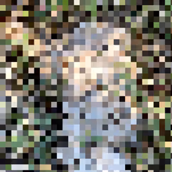 2850415134272365380187775685678842410458265265709128331682257616226933014529