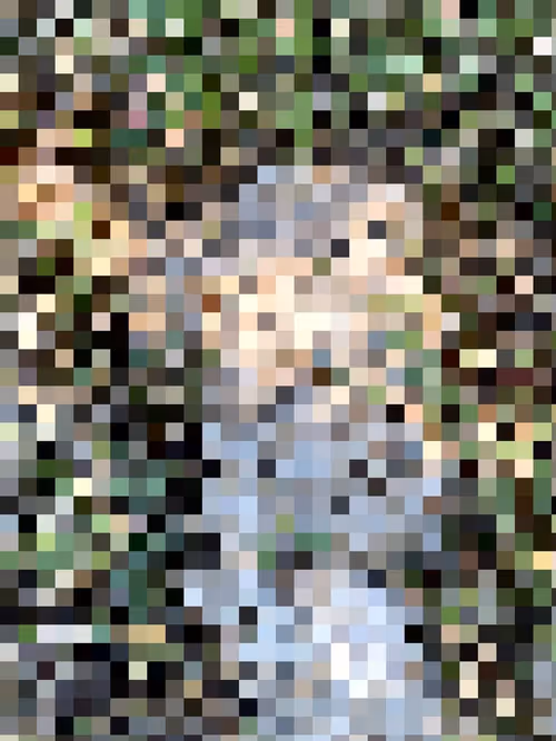 Item #2850415134272365380187775685678842410458265265709128331682257616226933014529 Media