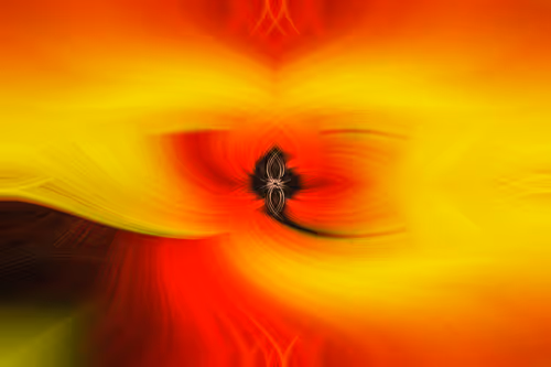 Item #33806556116645353974422995666267801011499992445511295382812024829025500266497 Media