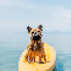 #0027 mydogonaboat