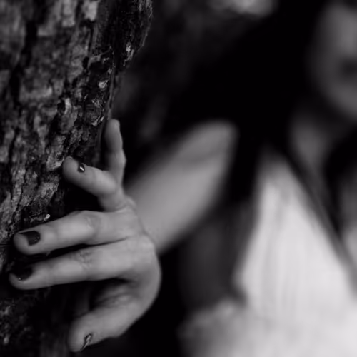 Lemuel Photography