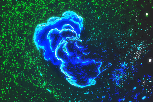 Item #53656058415869394314962841575876085778892851125174536728105346431173993168897 Media