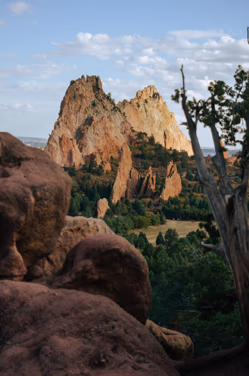 Item #83625231168864970045539605410069256261495624931970233410894617904582005620737 Media