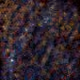 55954787362138270071845369882770875561840311276178762873696080621068116557825
