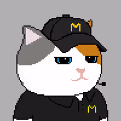 104919872742152227807235166418500170476562355609761586582247809989947909210113