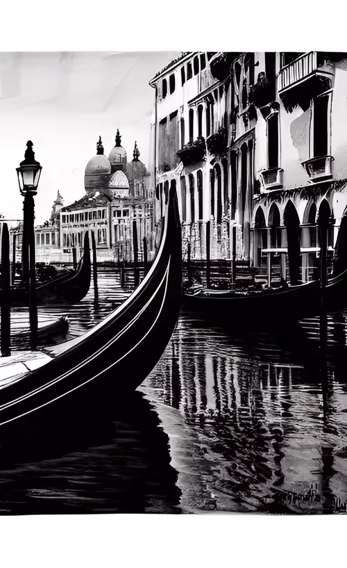 Item #84348190901897892268746445719159038653561609218037957055323071204218722320385 Media