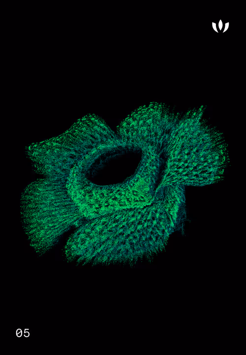 Item #30579750124061878473924884355833297327322833746354964518713563921297835032586 Media