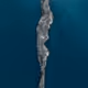 50 SHADES OF WATER