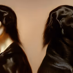 82159967594464406063899353392060139915954589155650270044064026222082178154497