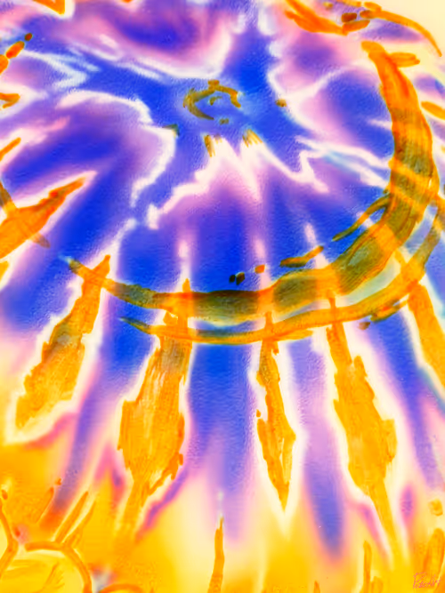 Item #63030685704666312235755123327233575953306388987338442939546069577569826504705 Media