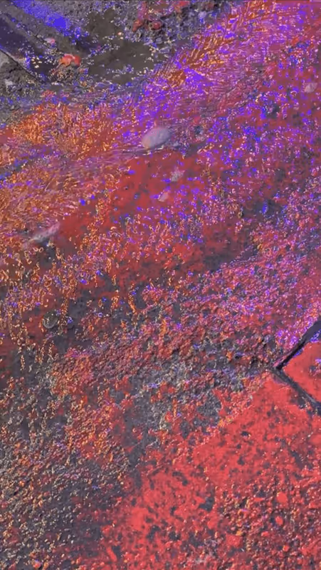 Item #62402000334580523921237358418718502457721815832787791947048085099083527618561 Media