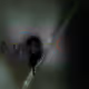 22362998656391348619964509460575292010777618547271855479439245975419908784129