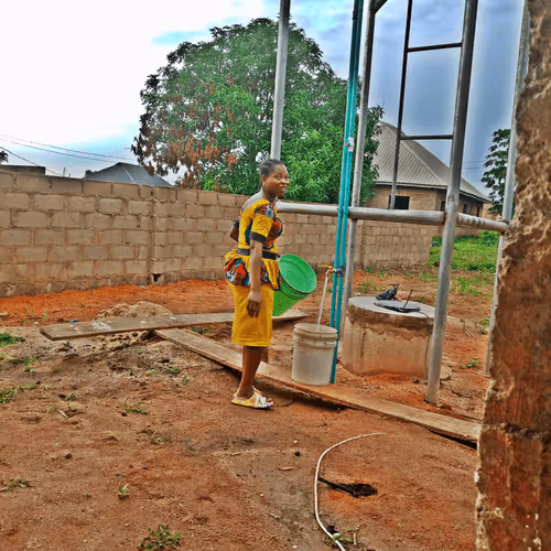 Untitled Collection #286495176