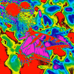 10162537437224382031479019658551907585229278444242708151782220132985836929025