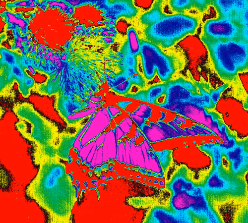 Item #10162537437224382031479019658551907585229278444242708151782220132985836929025 Media