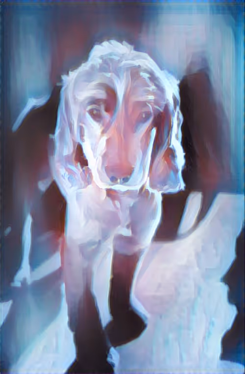 Item #11025684315241985952298237908524854018692534373662870877904489708464109518849 Media