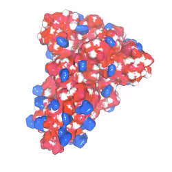 SARS-CoV-2 spike glycoprotein Oliver