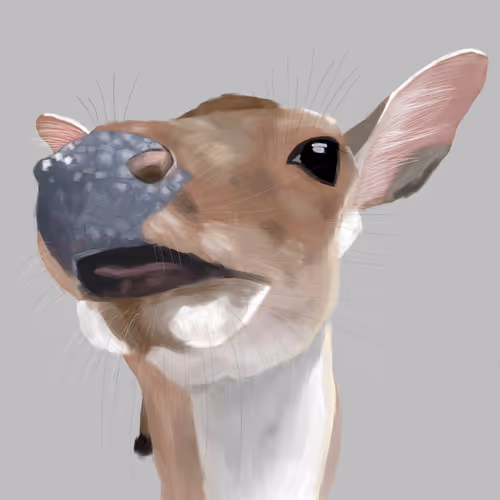 Item #104561290184458227069111393088658904779979346146682542828265975249093842173953 Media