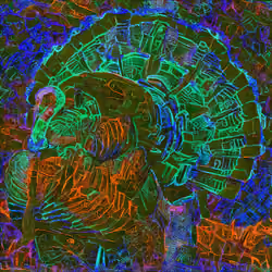 Turkey36