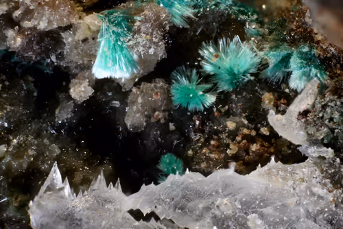 Item #112638842012957323397667355409978621827807315041052331183986003319677287137281 Media