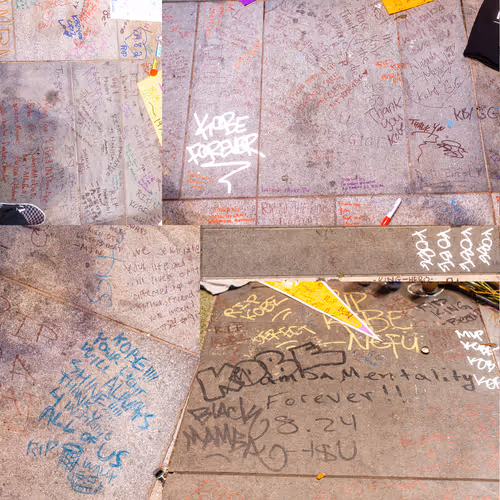 Item #13439362437370999140501138582598292618476795451252891238898507518458560774168 Media