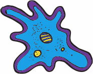 Item #114008008152738858439089017376869668929343649019793498668551632453825206419457 Media