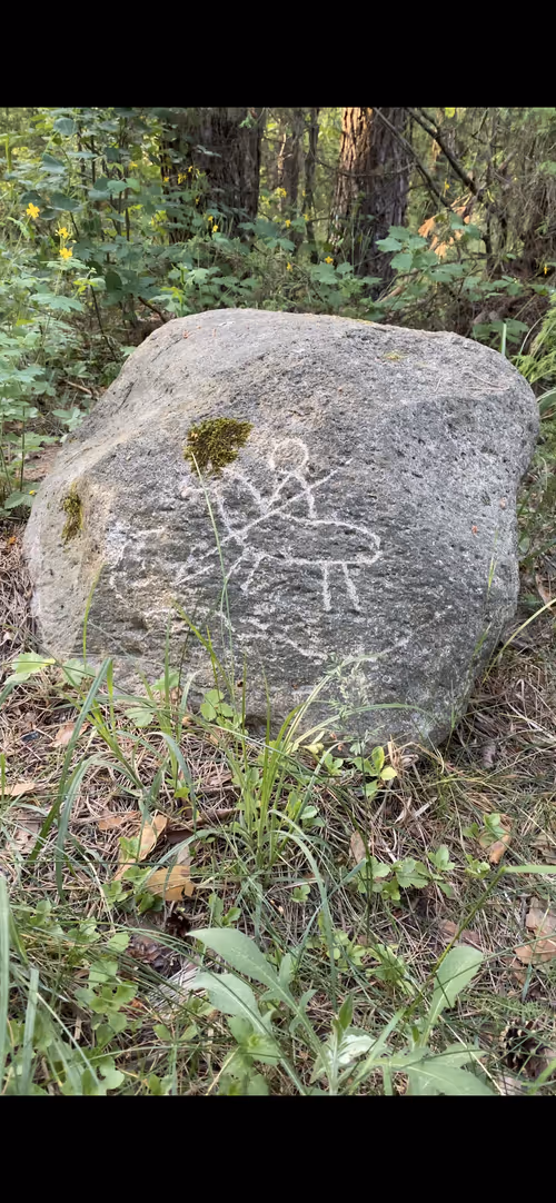 Item #32420779040152639486175643899346389617713060121503909707654642024646868729857 Media