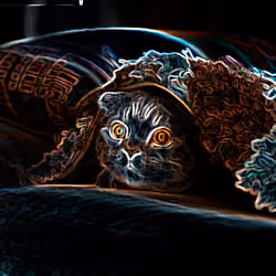 Cat in Dark #3