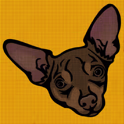 79807254413118000359697984312464081825159362545123639191689039591398495485953