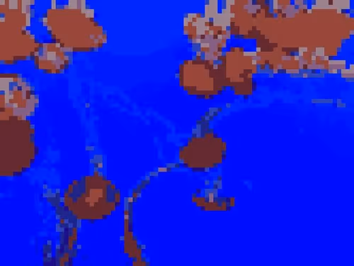 Jellies