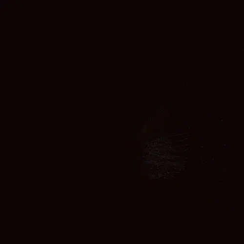 Chaos Algorithm