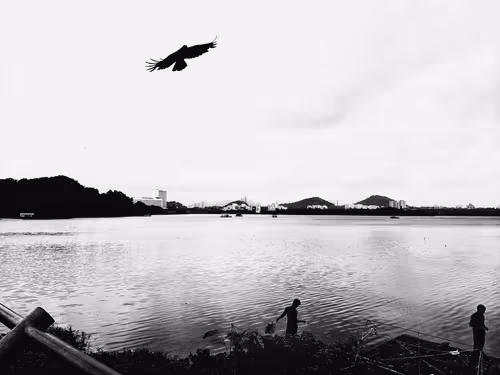 Monochrome Minimalism