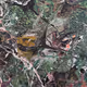 67303703766102795159323895501069354834552500111522685946457350248840185249793