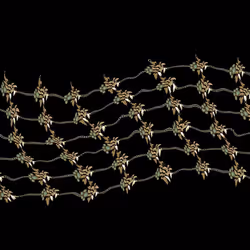 495481811379815144822817045191940406025038668845752407780710071942118375425