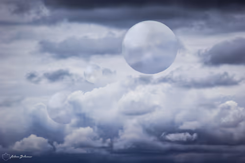 Item #4468298363639779410532789010720251327822800533817543307032898270217637986305 Media