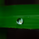 Macro Imagery