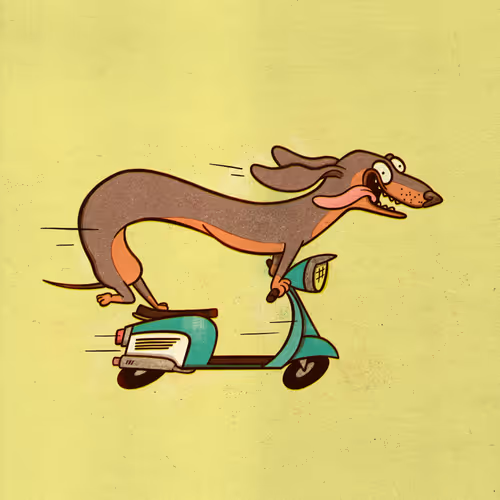 Item #69023559890730358064088627201941217653500592757370393024159388691084733317121 Media