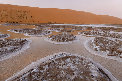 Item #12333759371985289416686528618250941787801478820548931806244366496531809828865 Media