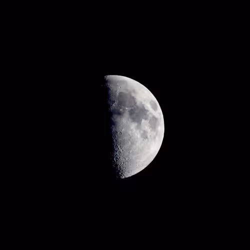 rubbercake Collection