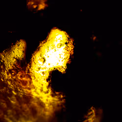 71646257518770613568983710813551014237803002136866425209291834580447935856641