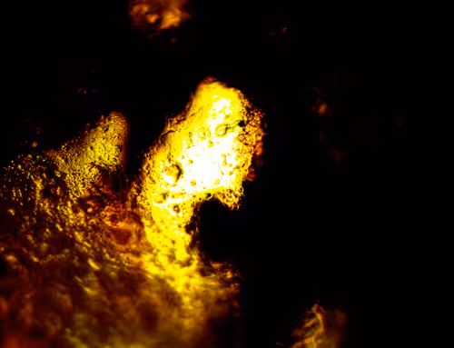 Item #71646257518770613568983710813551014237803002136866425209291834580447935856641 Media