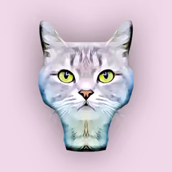 Cat Lolly