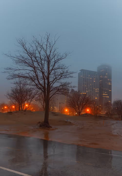 Item #56001494640685289430780016562963484230812626650403899750945012706818654208001 Media