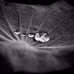 LightandShap#11