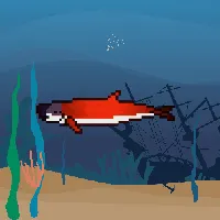 78964944229926021655968168462037545876501657311134209832205588797959088111617