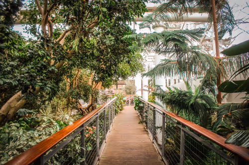 Item #57479553185220835653217369803526840732954430889242358118242524203371691245569 Media